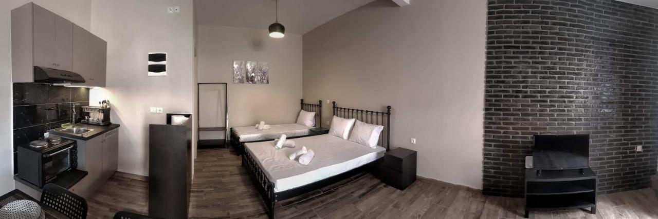 Meteora House- Cozy Living Lejlighed Kalambaka Eksteriør billede